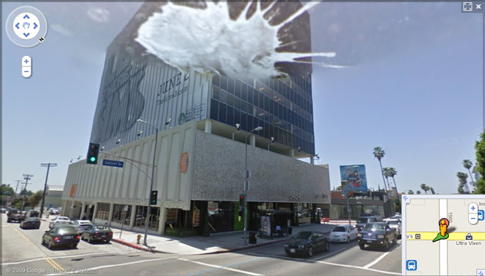 Google Street View - Mierda en la camara