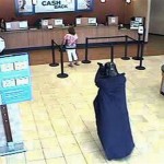 Darth Vader entra a robar un banco