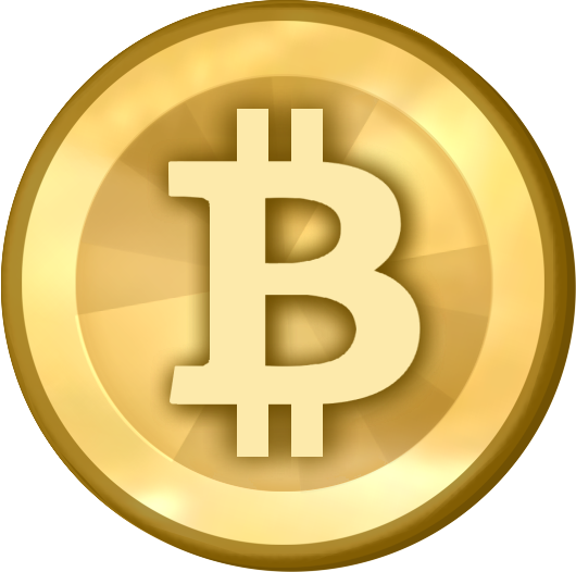 Bitcoin, la divisa de internet
